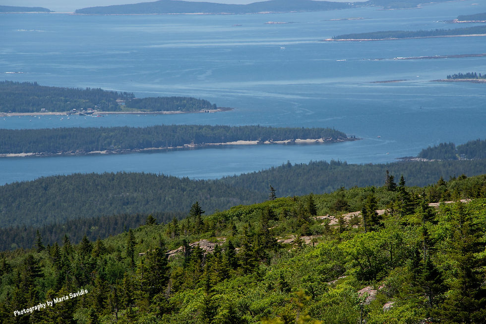 View from the top