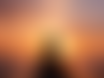 What we bring forth in to the World