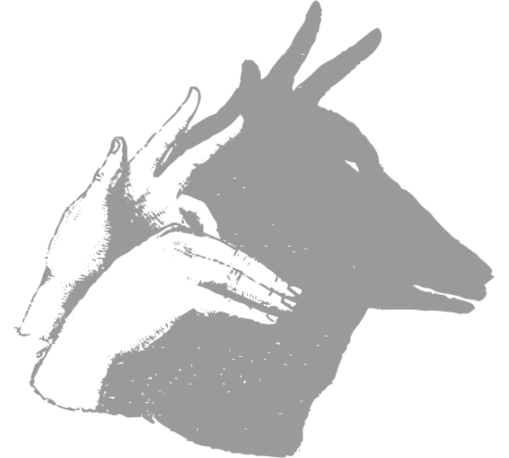 SHADOW PUPPET