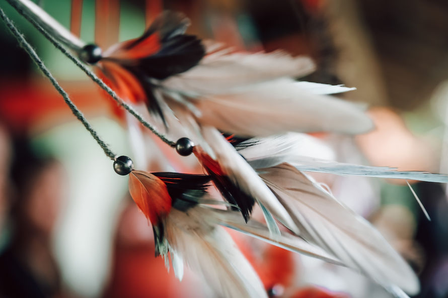 Feathered Jewelery
