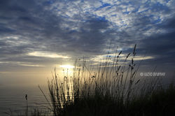 Cape Reinga - New Zealand