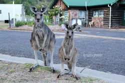 Grampians National Park - Australia 