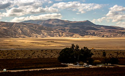 California
