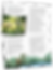 Miniaturbild: Der Schatz der Sumpfmocks (Zauberfeder 2)