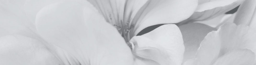 Flower2.jpg