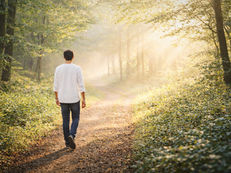 Adult walking alone on a quiet forest path in soft morning light.