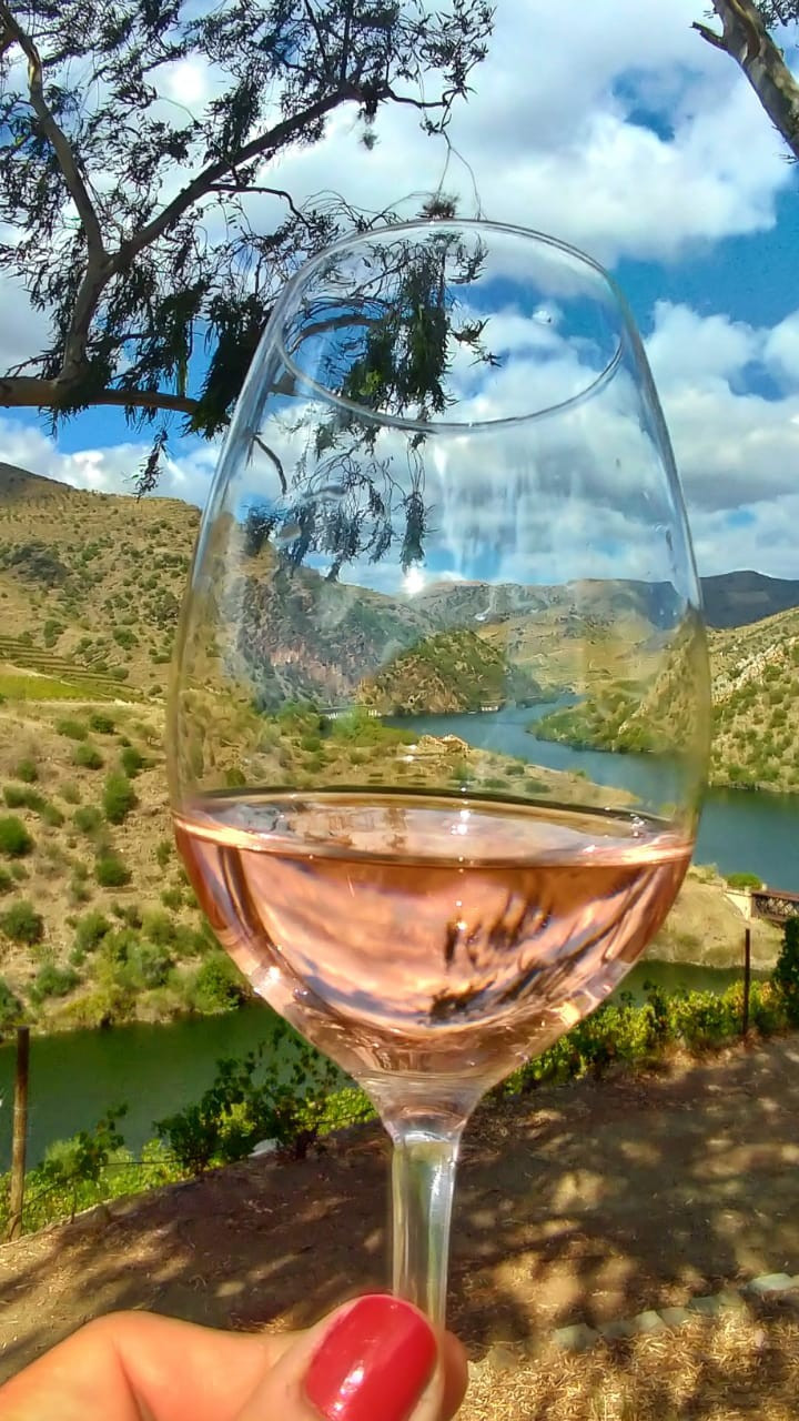 Rosé na Quinta da Leda (Foto: Elaine de Oliveira)