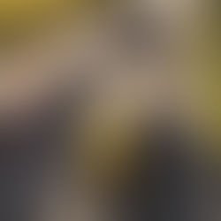 Resilience in the HGV Sector