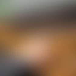 Debris Build up in roofing gutters