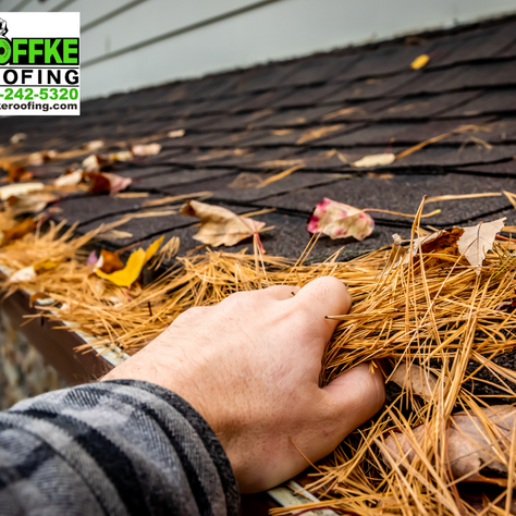 Debris Build up in roofing gutters
