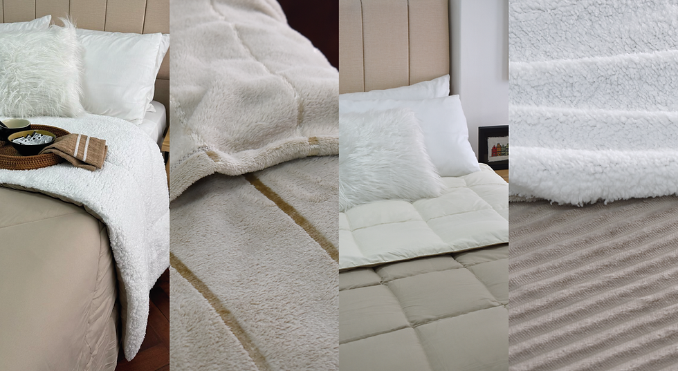 para web2_Mesa de trabajo 1 copia.png