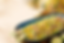 hero1.png