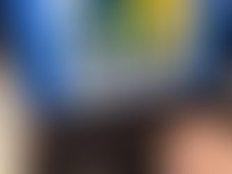 Welcome to the Wise Home Services Project Blog