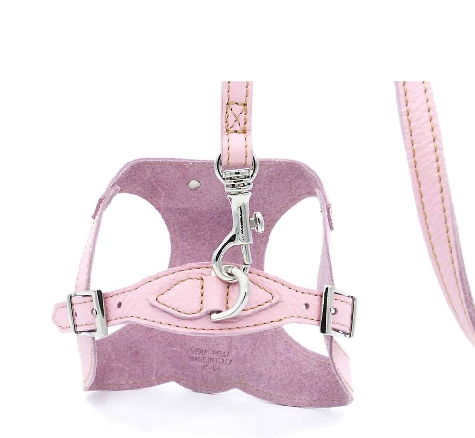 サムネイル： BASIC Harness 