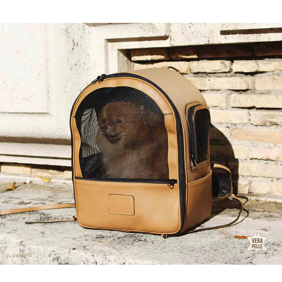 サムネイル： MAXIME Back pack