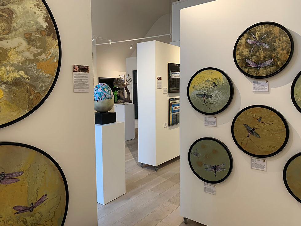 The Dragon Gallery Autumn Exhibition