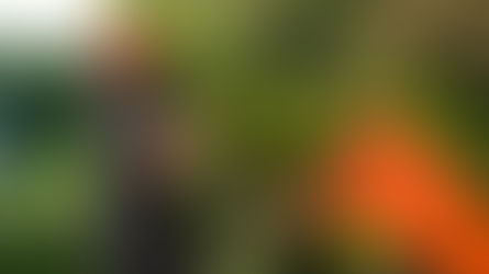 Stuart Eccles, 20 from Bethesda, self-employed in Tree Services