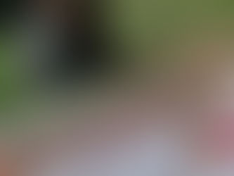 Übungsleiter* Ausflug