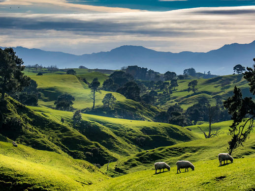 Hobbiton Through the Lens: Rolling Hills, Rural Atmosphere & Cinematic