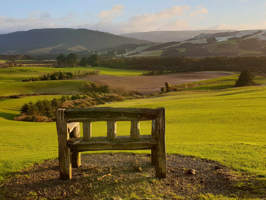 The Catlins Slow Travel Guide | Wildlife, Waterfalls & Coastal Roads