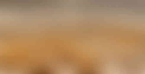 St Bathans Tussock Range: A wide-angle panoramic view of the rugged St Bathans range in Central Otago, featuring snow-dusted peaks, golden high-country tussock grass, and a cinematic overcast sky during the winter sleeper season.