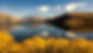 Southern Narrative: Through The Lens In Otago: