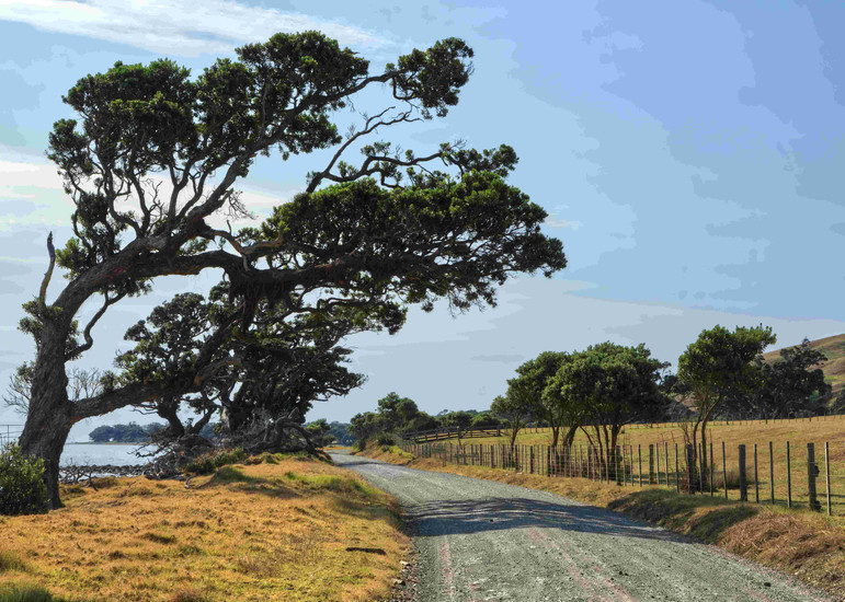 The gravel road to Fletcher Bay, tip of the Coromandel Peninsula