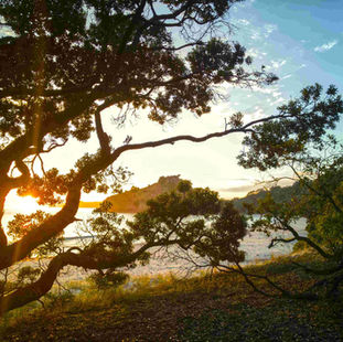 Coromandel's quiet retreats: New Chums beach at sunrise