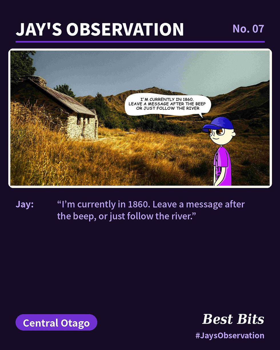 Jay's Observation No. 07: Stone hut 1860, a Best Bits Travel cartoon