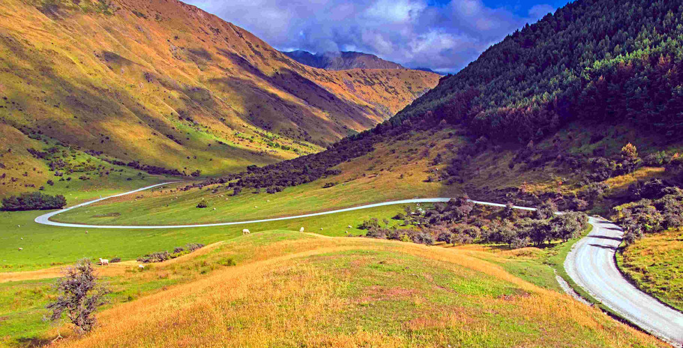 Moke Lake Road: A winding gravel road snaking through a lush mountain valley with grazing sheep, leading to the unplugged basin of Moke Lake.