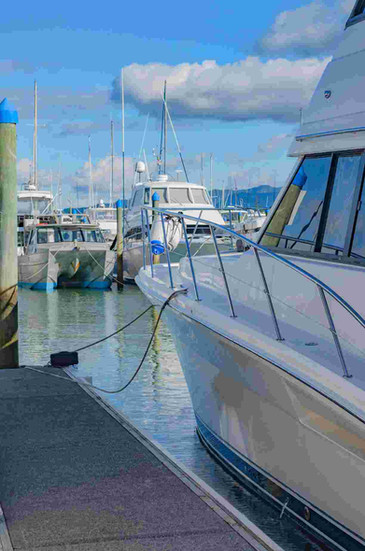 Whitianga Marina moorings, Coromandel Peninsula