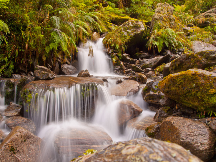 Waterfall cascading over mossy rocks in a lush forest
