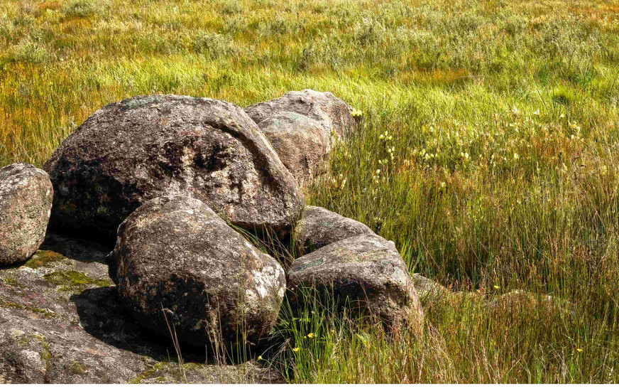 Granite boulders and green grass in Cathedral Rock National Park in New South Wales in Australia.jpg