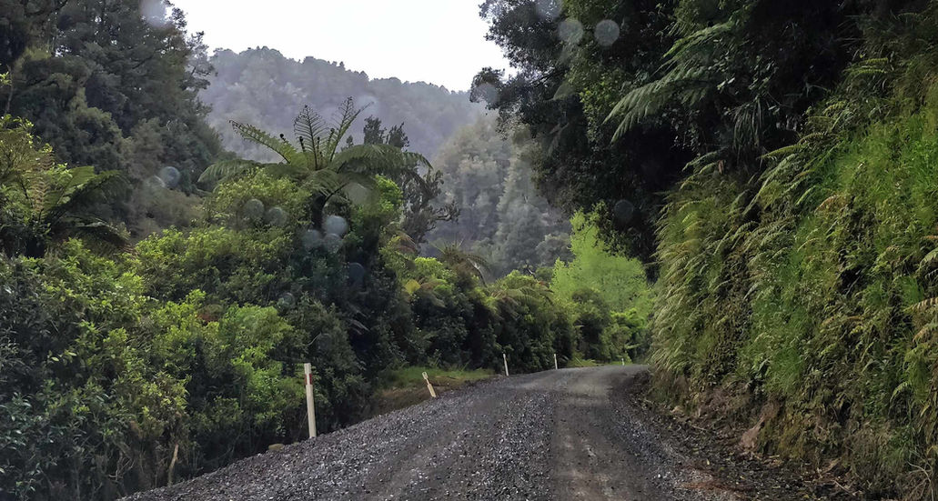 Gravel road winding through dense, green, hilly forest