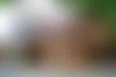 What a great advertisement, a visitor centre decorated as a Hobbit building, superb marketing idea