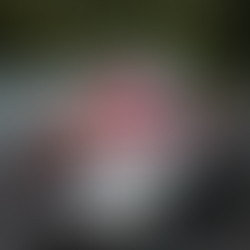 The "Unverified" Navigator: 6 Google Maps Hacks for NZ Backroad Adventures