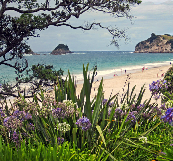 Hahei Beach on the walkway to Cathedral Cove