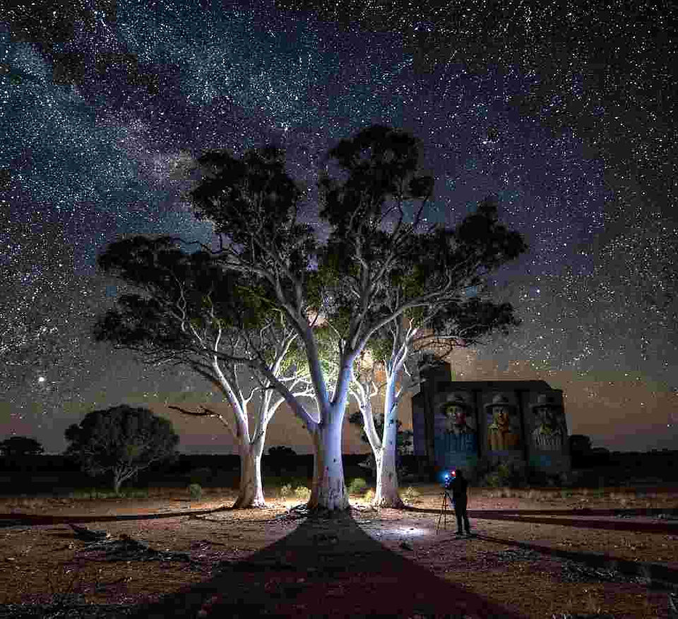 Milky Way over illuminated trees with person exploring