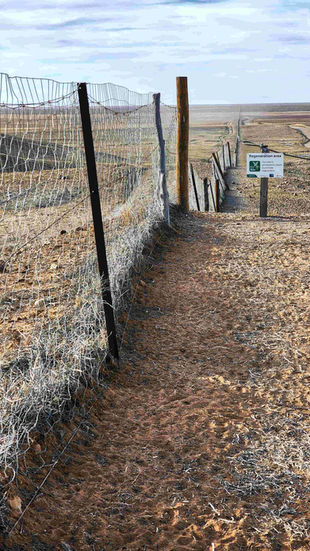 Fence line in a dry Australian landscape