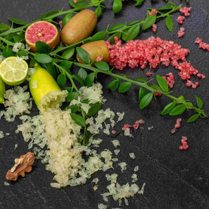 The Australia Foodie Archive: The 2026 Continental Parent Guide