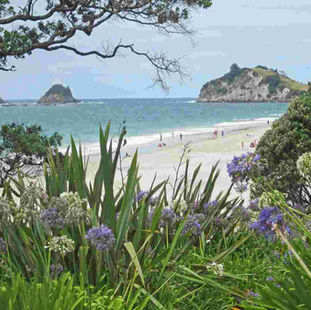 Coromandel coastal discoveries, hidden beaches and regional escapes