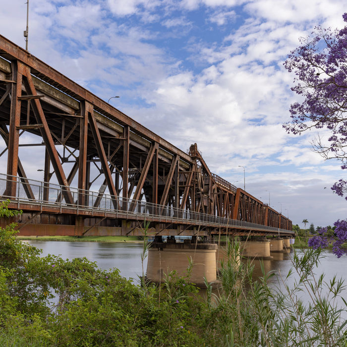 The rust-red steel Grafton Bridge over the Clarence River with a flowering jacaranda in the foreground
