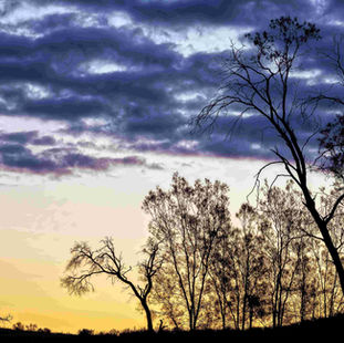 Best Day Trips from Mildura
