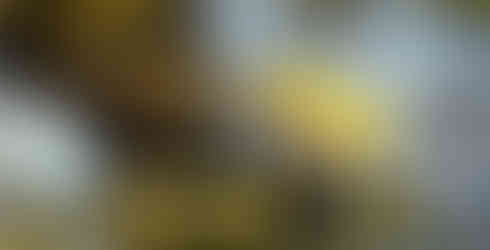 St Bathans Blue Lake Reflection: Vibrant golden autumn trees reflected in the still water of the Blue Lake at St Bathans, set against a dramatic white quartz cliff face.