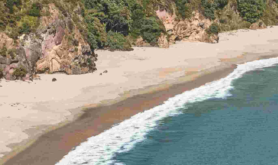 White sand, rocky headlands framing the crescent shaped New Chums beach, Coromandel Peninsula.j