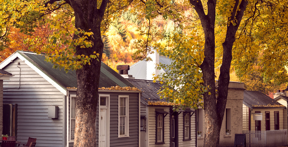 Arrowtown Heritage Houses: A row of historic timber-clad cottages in Arrowtown, framed by vibrant golden autumn trees during the South Island sleeper season.