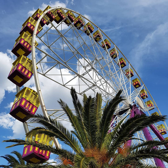 Ferris wheel with colorful pods, palm tree