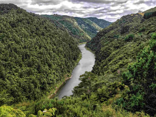 Whanganui River Road view with river, steep green hills and narrow road through Whanganui National Park landscape