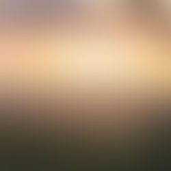 Morialta Park Adelaide Hills, Australia, sunset views.jpg