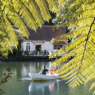 Lake and boathouse framed by trees in Pukekura Park, New Plymouth, one of Taranaki's best gardens